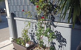 Apartman Lara Zadar