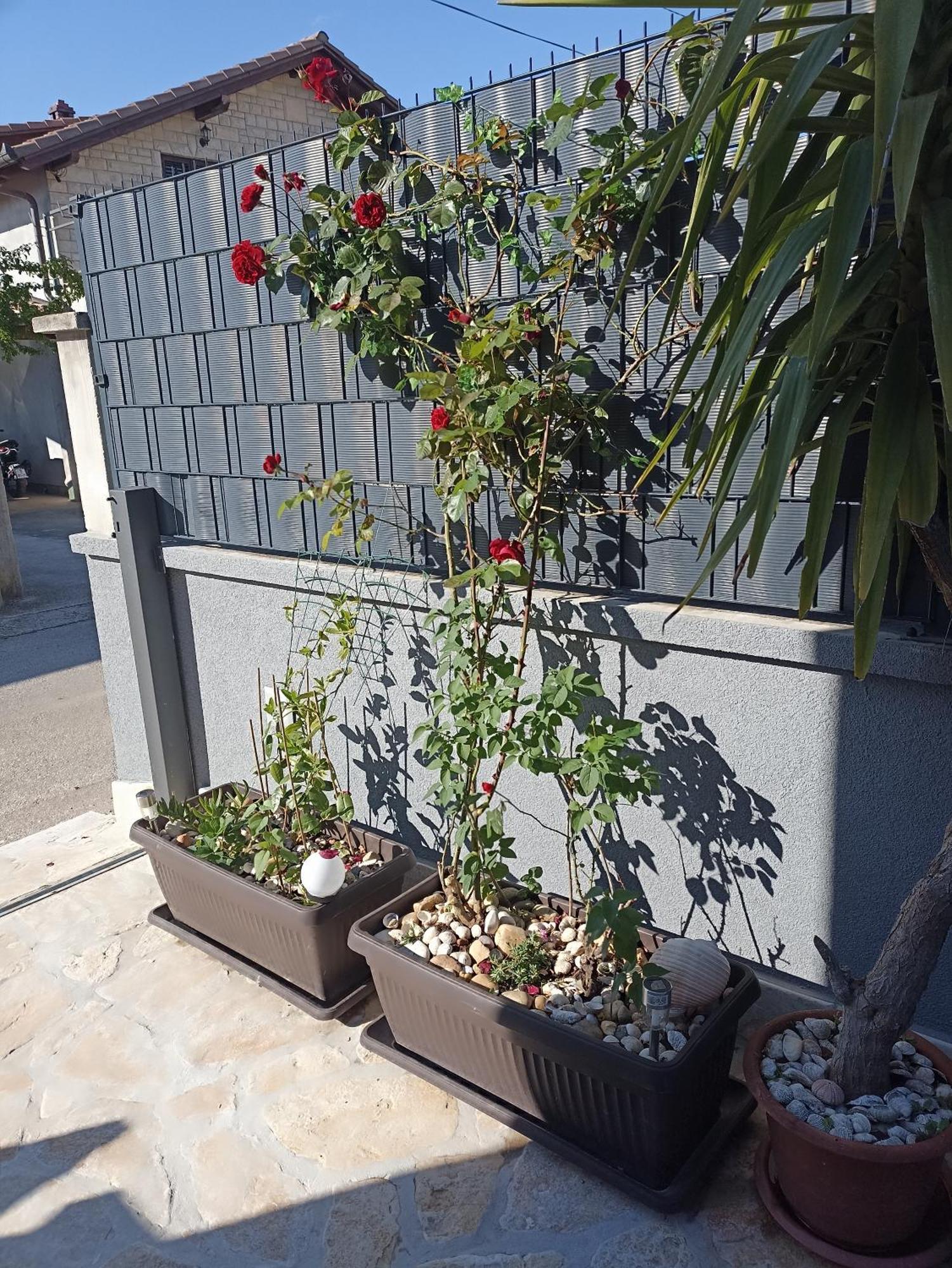 Appartamento Apartman Lara Zara Esterno foto